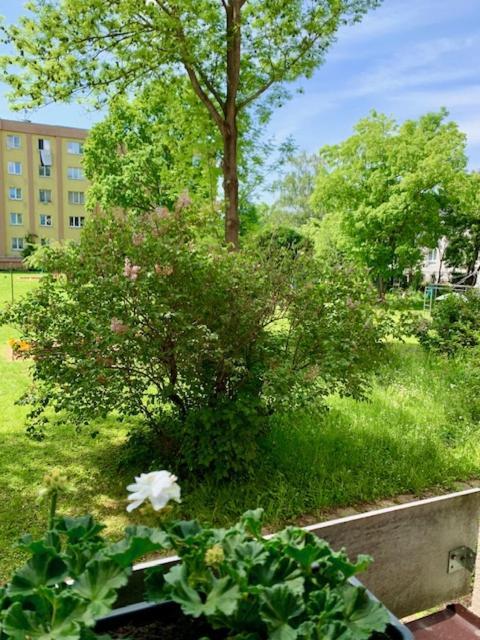 Apartment Snyt Primka Olomouc