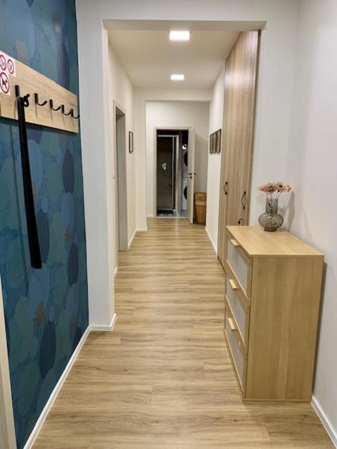 Snyt Primka Apartment
